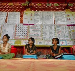 Rohingya Cultural Preservation: An Internationally Coordinated Response Is Urgent 
